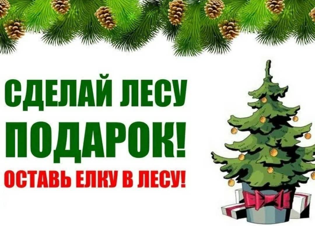 Операция "ЕЛЬ".