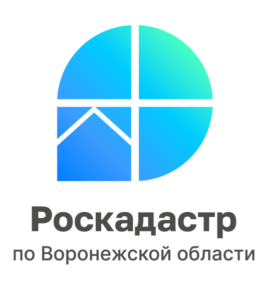 Укажите подпись к картинке. Укажите подпись к картинке.