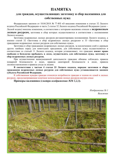 Сбор валежника. Сбор валежника.